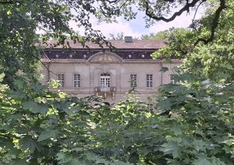 Kossenblatt